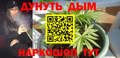 прущие грибы Изобильный