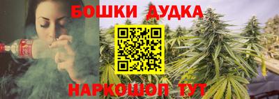 прущие грибы Изобильный