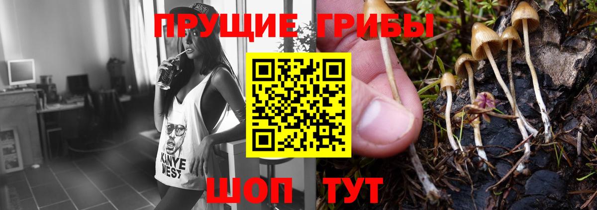 Галлюциногенные грибы Cubensis  Вход с VPN  Муравленко 
