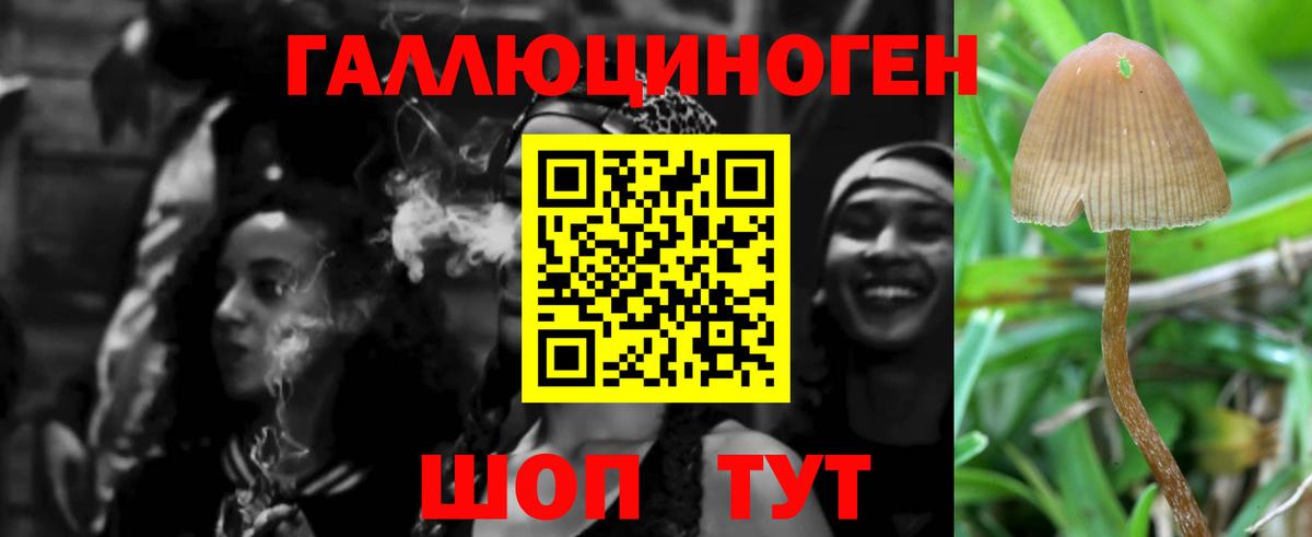 Галлюциногенные грибы Psilocybe  купить наркотики цена  Муравленко  Галлюциногенные грибы ЛСД 